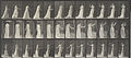 Eadweard Muybridge Locomotion 462 1887.jpg