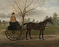 F. Clifton (active 1859-1895) - The Carriage Horse 'Minnie' with a Groom in a Buggy in the Grounds of Florence Court - 631086 - National Trust.jpg