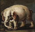 Giovanni Antonio Guardi (attr) Elefant.jpg