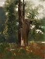 Odilon Redon L'arbre c1890.jpg